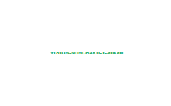 vision-nunchaku -1