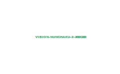 vision-nunchaku -2